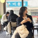 민화로 만나는 책과 꽃 (상) | 2026년 3월 상