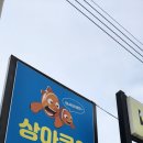 김포볼거리 수족관 국내최대 상아쿠아 둘러보기
