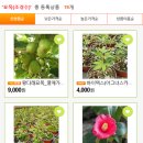 예일조경 이미지