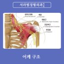 서라벌정형외과 이미지