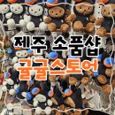 제주킹스토어(주) | 제주 한정판 미피를 만날 수 있는 소품샵 귤귤스토어 도두점〡제주 해녀 미피, 콜라보 굿즈 등