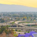 폼잡는개 이미지