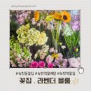 24시간 연중무휴 녹번역 꽃집 [라벤더블룸] 내돈내산 후기/ 어버이날, 생일선물, 상견례, 명절 인사선물