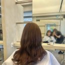 머리살리기 | 잠실점' 다은쌤 애쉬브라운 염색 + 전신안마기 헤드스파 후기 | 망한 머리 살리기, 잠실 미용실 추천