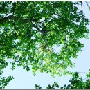 우면산5-14 이미지