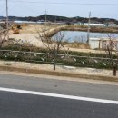 선일공인중개사사무소 이미지