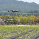 고현-0091 이미지