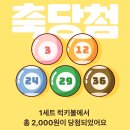 로또페이