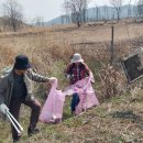 군산 백석제 습지 클린데이 4월1일 쓰레기 줍기 . 행사 이미지