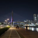 신천@ | 대구 신천 야외영화관 후기｜엘리멘탈 관람 + 꿀팁 (시간, 자리, 화장실, 음식 등)