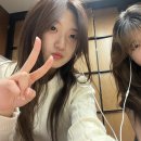 볼볼티 이미지