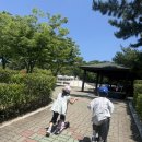 제일휴게점 - 성주군 관화길 117 | 울산대공원 소풍마루 만5살 솔직후기 +휴게쉼터 예약