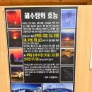 충남 홍성 숨은 명소 해수탕 체험기