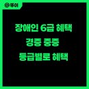 오산중증장애인센터 | 장애인 6급 혜택, 경증 중증 수당 등급별 기준 정리해봄