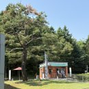 경기도 용인 아이랑 가볼만한곳 삼성화재 모빌리티뮤지엄 체험 주차 후기