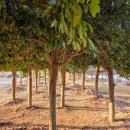 수변공원(1) 이미지