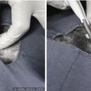 광안동물병원 이미지