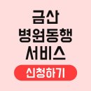금산-65 | 금산 병원동행서비스 신청 이용방법 절차 센터 요금 받는법 업체 비용 자격 노인 대상