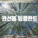 연세현플란트치과의원 이미지