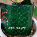 경아트가죽공방 이미지