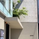 새벽노을 | w5. 대구 웨딩밴드 투어2 수누주얼리 상담후기 가람길 새벽노을 견적공유