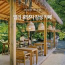 마곡사관광지 | 마곡사 근처 카페 짐바란, 계곡 옆 발리 휴양지 감성 내돈내산 후기