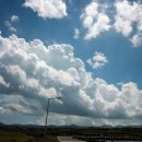 미원닭집 이미지