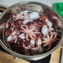 태안호스릴-17 | 인천] 2024년 9/1-오전체험, 9/17-오후체험 인천 남항...6호타고 쭈꾸미 낚아온 후기 / 인천 체험 배낚시