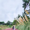 돌머리696 이미지