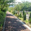 제주교통복지신문