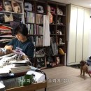소 담 이미지