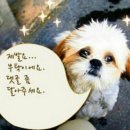 [ 전주 아모레 퍼시픽 모집 ] 전북 전주 서신점 아모레 카운셀러 환영합니다. 뷰티인플루언서 지원