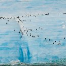 가봉목장 이미지