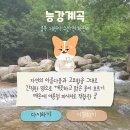 본정초콜릿카페
