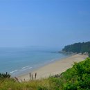 삽시도팬션나라 이미지