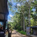 수지 토종농장 이미지