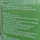 팜텍 | [히포팜텍] 플랜테리어에 좋은 식물LED UFO식물등 후기