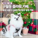 멍멍회관 | 구월동 카페 리림 애견동반｜꽃과 식물 가득한 인천 감성카페 후기