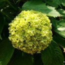 내일을향하여 이미지