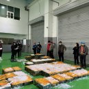 영광메디칼 이미지