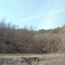 옥천군청성면도곡보건진료소 | 전 영동지원 충청북도 옥천군 청성면 도장리 456-1.[입찰기일:2018.05.15]