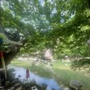 신원민박 이미지