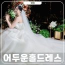 라인댄스(초중급A) | 어두운홀 오간자 실크 웨딩드레스 김선재웨딩 본식 후기