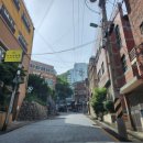 실버벨노인복지관 | 매직카우 마술사 실버벨 노인복지관 6월부터 마술 수업(12회차 수업)