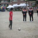 금진초등학교 이미지