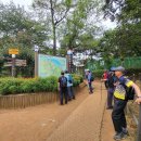 동작충효길 2코스 현충원길 이미지