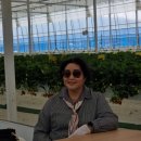 최영자농장 이미지