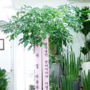 날꾸버잡수 이미지