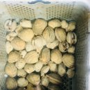 바다그리다 이미지