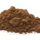 해양초등학교 이미지